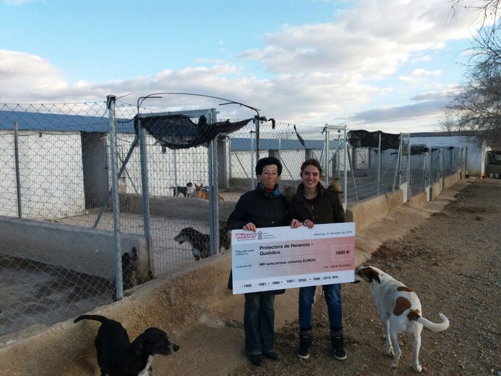Entrega del Contador Solidario a la Protectora Qualidice