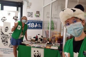 Captadoras WWF