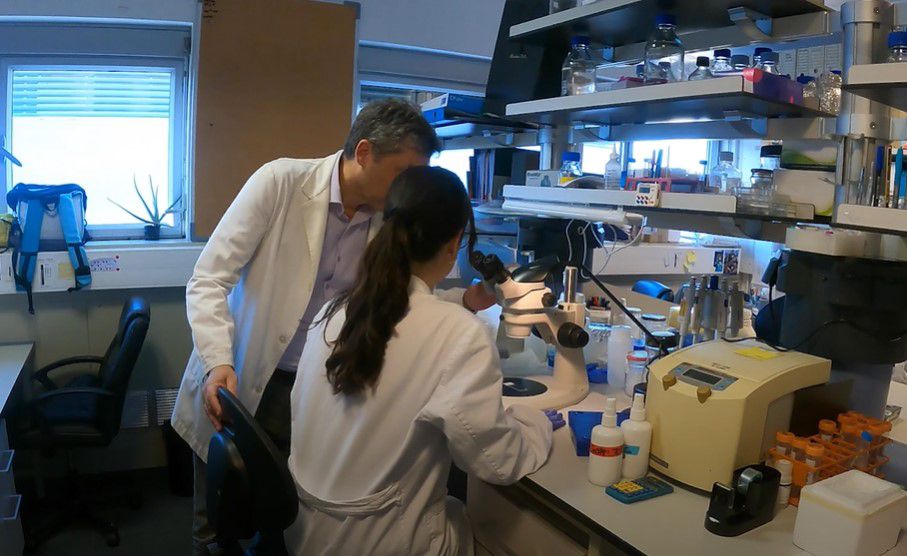 investigación Universidad autónoma de Barcelona