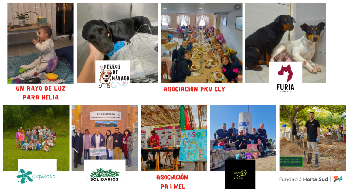 Ong Contador Solidario